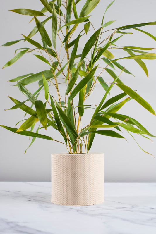 unbleached_bamboo_toilet_paper