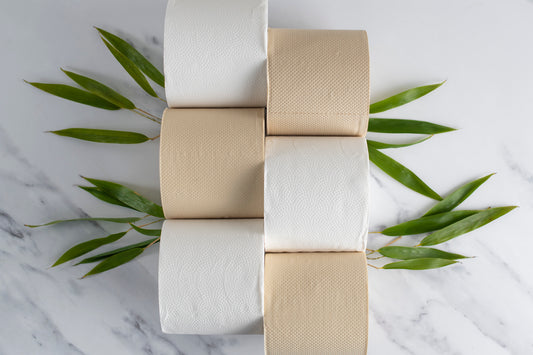 How is bamboo toilet paper made?
