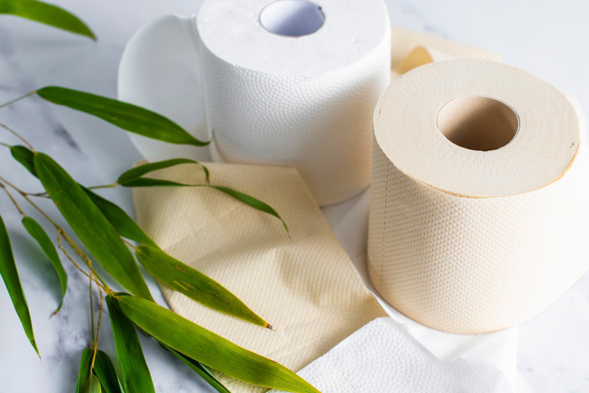 Is Bamboo Toilet Paper Biodegradable? – Bazoo