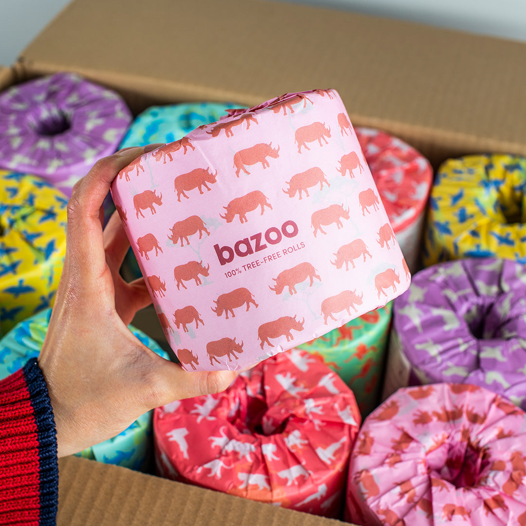 Bazoo Free Sample Pack